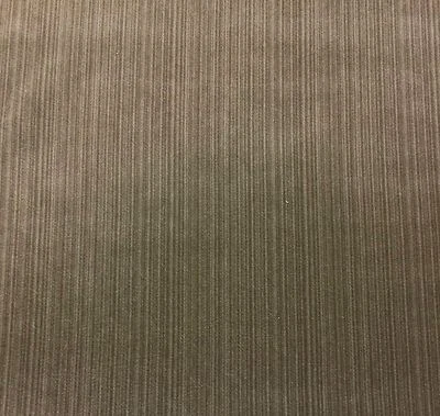 JB MARTIN AMBOISE STRIE VELVET STORM GRAY CUSHION UPHOLSTERY FABRIC BY YARD 54"W - Image 1 of 4