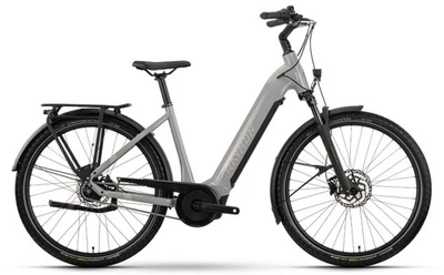 Raymon Metmo Select - E-Urban Bike - Timeless Moss
