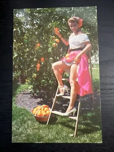 Vtg Postcard Florida Oranges Pin Up Girl in Orchard by H.W. Hannau 1959 Posted - Picture 1 of 2