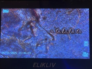 1980 Mint Error Lincoln Cent DDO, DDR. - Picture 1 of 4
