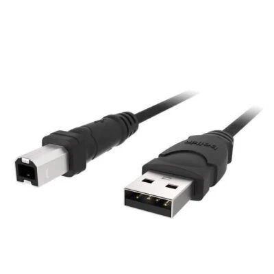 Belkin F3U133B10 USB Cable - Type A Male USB - Type B Male USB - 10ft - Image 1 of 3