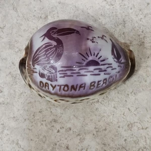 2.75" LONG CARVED COWRIE SHELL PELICAN  DAYTONA BEACH ART SOUVENIR - Picture 1 of 7