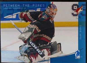 2003-2004 ITG Be A Player Sean Burke Between The Pipes Sapphire/100 - Imagen 1 de 2