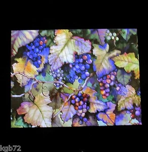 Leanin Tree Grapes Grape Vine Blank Greeting Card Multi Color R319 - Picture 1 of 2