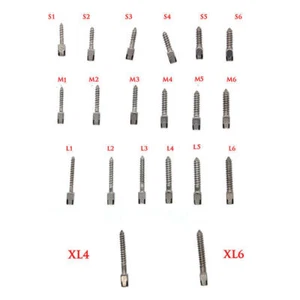 12Pcs/Box Dental Screw Posts Endodontic Gold Plated Conical Kits Refill All Size - Picture 1 of 12