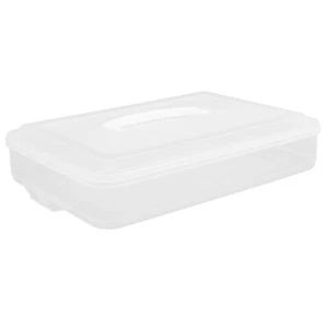 Quick Dumpling Box Egg Storage Deviled Carrier with Lid Trays for Eggs - Picture 1 of 12