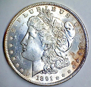 1891 Dollaro d'argento Morgan - Foto 1 di 2