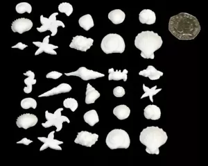 20 x Edible 3D seashells sea shells, cake, cupcake toppers, decorations, icing - Picture 1 of 15