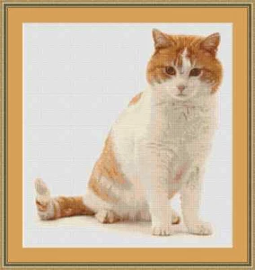 Ginger And White Cat Cross Stitch Kit - Picture 1 of 2
