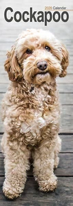 Cockapoo Slim 2026 Calendar | Slimline Dog Breed Gift 15% OFF MULTI ORDERS - Picture 1 of 8