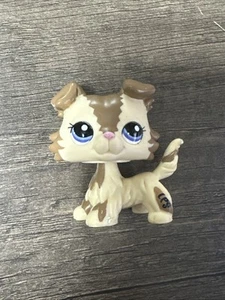 Littlest Pet Shop Raro 2210 Vacaciones Collie Marrón Tostado Zig Zag Ojos Púrpura - Imagen 1 de 3