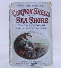 c.1865 Rev J.G. Wood Common Shells of the Sea Shore F. Warne