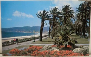 Postal vintage de Palisades Park Santa Mónica California - Imagen 1 de 2