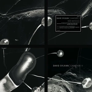 DAVID SYLVIAN CAMPHOR II (RSD 25) NEW VINYL RECORD - Picture 1 of 1