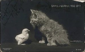 RPPC Bakersfield CA - ¿Gato y pollito te engulliré? Foto real de 1907 - Imagen 1 de 5