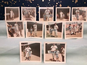 11 Photos 1967 CALIFORNIA ANGELS BASEBALL PLAYERS Cimino Fregosi Brunet Rodgers - Picture 1 of 14