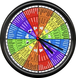 Sozialarbeiter Gefühle Rad Therapeut Berater Kontrolle Therapie Schild Wanduhr - Bild 1 von 1