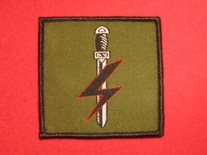 BRITISH ARMY SFSG SPECIAL FORCES SUPPORT GROUP TRF BADGE - Picture 1 of 1