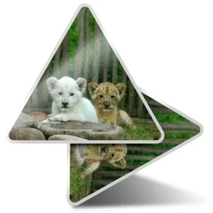 2 x Triangle Stickers 10 cm - Lion Cubs White Brown Wild Animal  #21794 - Afbeelding 1 van 9