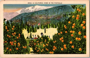 Vintage 1930's Through Orange Trees California Home in the Foothills CA Postcard - Picture 1 of 2