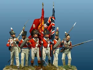 Soldados británicos de la batalla de Talavera 54 mm soldado de juguete pintado | nivel de arte - Imagen 1 de 1