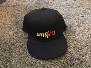 Shaq Fu - Collector's Edition Hat Only - UNGLAUBLICH SELTEN! Nur 500 hergestellt - Bild 1 von 3