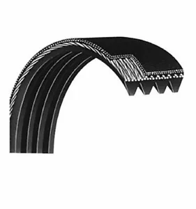 Cybex 16-Rib Primary Drive Belt for 625A/625AT Arc Trainer (600A-343) - Picture 1 of 1