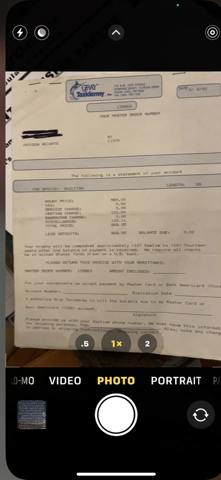 taxidermia pez vela Foto 1 de 3