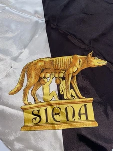 Vintage SIENA, Italy LARGE square silk scarf~Romulus/Remus/She Wolf - Picture 1 of 13