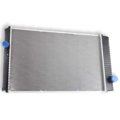 Truck Radiator Fits Ford Sterling 1996-2001 L LT7500 8500 F8HT8009BA F6HZ8005GA Foto 1 de 4
