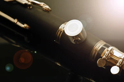 Clarinet Pickup Microphone with 65mm Clarinet Barrel ready for use & 5m Cable - Image 1 of 4