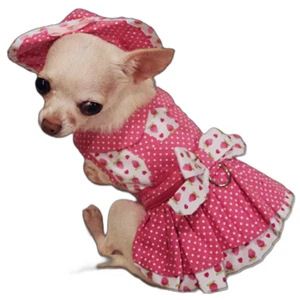 Harness Dress dog dress set dog clothes Strawberry Patch Set-LARGE ONLY - Picture 1 of 3