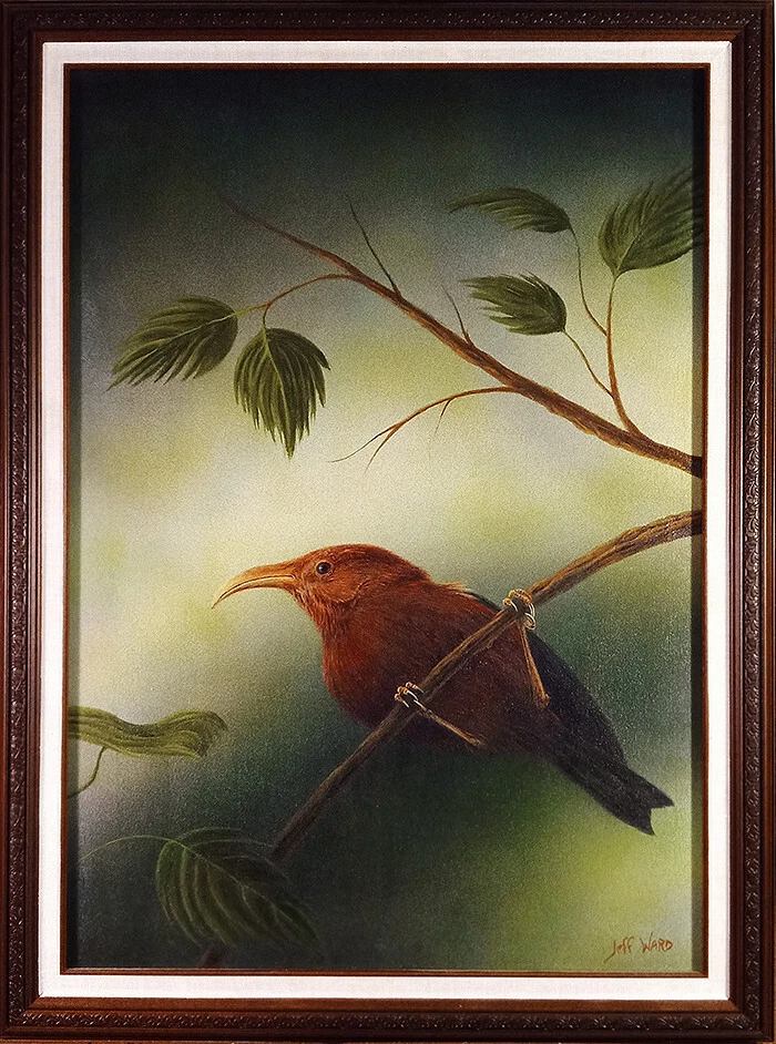 Arte de pintura acrílica de pájaro escarlata ʻIʻiwi 20"x28" por Jeff Ward Foto 1 de 1