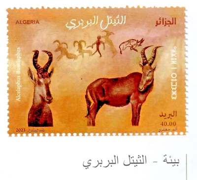 Algeria 2023 Official Environment #1(The barbarian cows) MNH - Image 1 of 2
