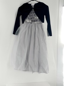 cinderella occasion dress