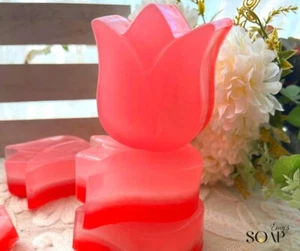 Handmade Natural Pomegranate Soap 100 g – Anti‑Aging • Hydrating • Collagen‑Boo - Picture 1 of 3