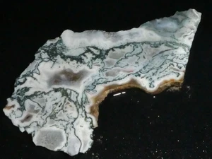 Ágata de árbol --5" x 2" --áspera, cable--exhibición Geología - Imagen 1 de 3