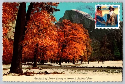 #3182j Celebrate the Century John Muir Maxi Card - Image 1 of 2