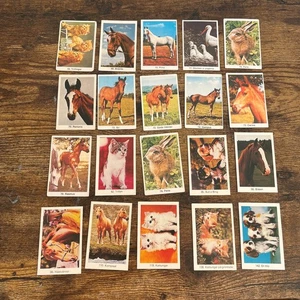 Swedish Samlarsaker ANIMALS 1978 - Lote de 20 tarjetas de animales de colección - Imagen 1 de 2