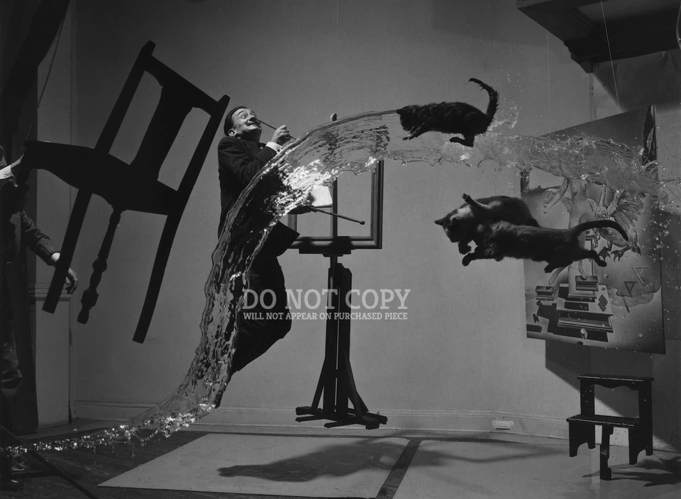 Salvador Dali Photograph 11 X 15 - 1948 Dali Atomicus - Philippe Halsman - Print - Image 1 of 1