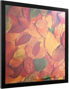 13x13 Quadratisches Schallplattenalbum Schwarz Bild Poster Rahmen Außenformat 13,81x13,81... - Bild 1 von 12
