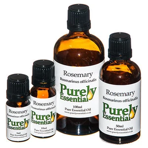 Rosemary Essential Oil 5ml 10ml 50ml 100ml 100% Pure & Natural, Purely Essential - Picture 1 of 5