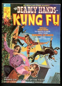DEADLY HANDS OF KUNG FU #8 Marvel 1975 - Bob Larkin & Mike Vosburg Art - VG - Bild 1 von 2