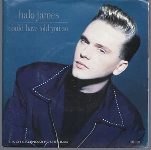 COULD HAVE TOLD YOU SO - WELL OF SOULS -- HALO JAMES calendar poster bag - Picture 1 of 1