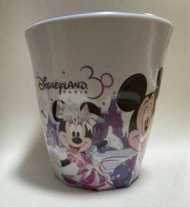 Disneyland Paris 30th Family Disney Store Japan Melamine cup mint F/S - Picture 1 of 3