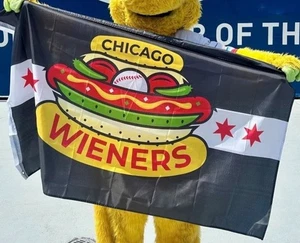 Sealed 5’x3’ CHICAGO DOGS  FLAG BANNER BASEBALL TEAM - ROSEMONT IL Brand New! - Picture 1 of 5