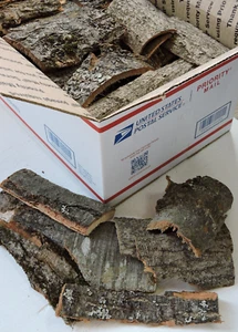 Red Oak Tree Bark Natural Crafts Assorted Seconds Pieces Size Varies 6+ Lbs - Picture 1 of 4