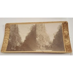 Antike Thornward Stereoview Passage durch Krokkleven bei Ringerike Norwegen - Bild 1 von 2
