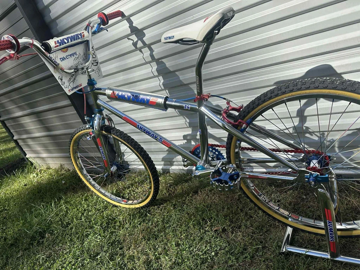Skyway 24 in Wheel Bikes for sale | eBay
