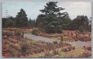 Washington Park Rose Gardens, Portland, USA, Vintage Post Card - Picture 1 of 2